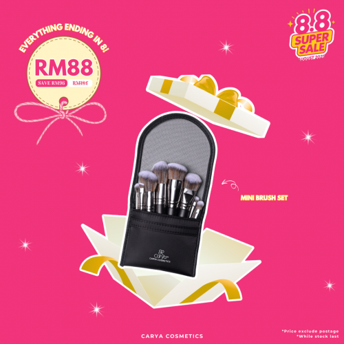8.8 SUPER SALE MINI BRUSH SET